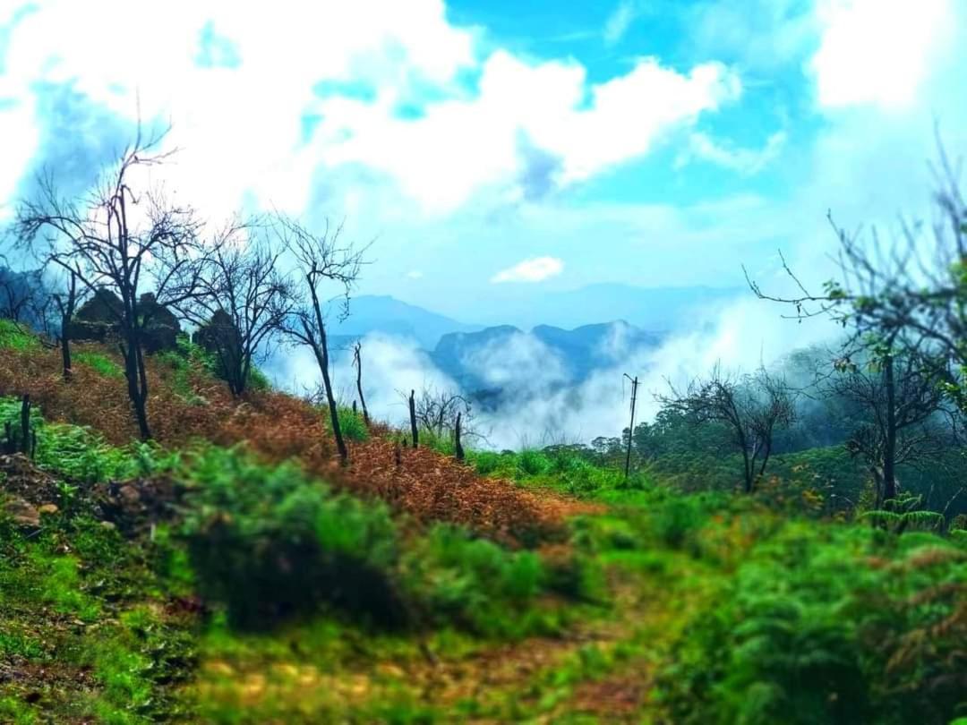 The Place ...The Experience Kodaikanal Exteriör bild